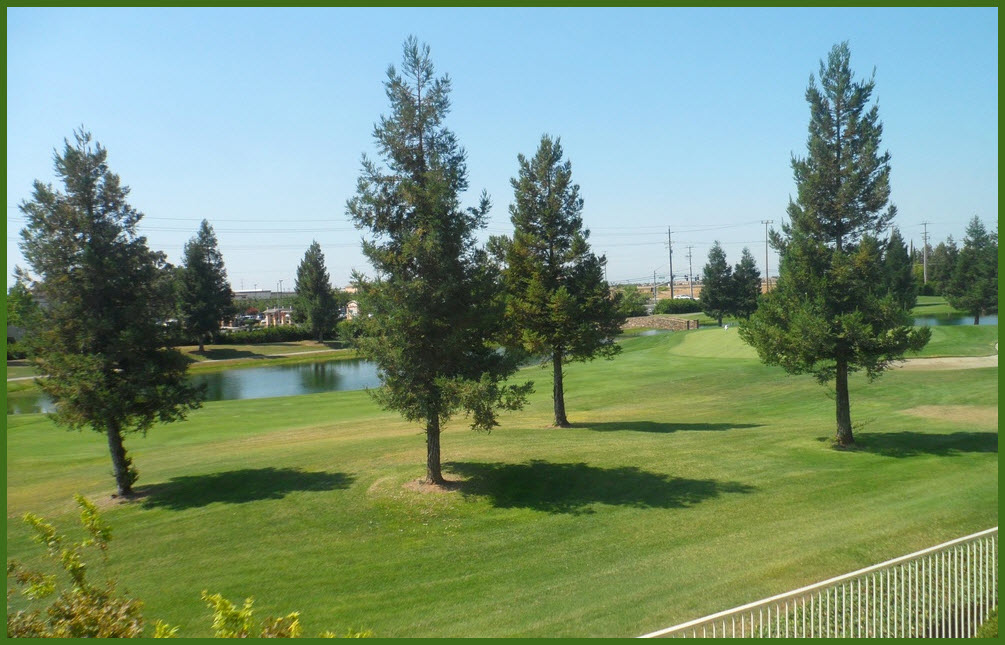 Homes for Sale Elk Grove Gated Communities